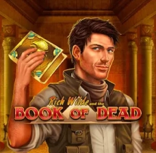 Рейтинг лучших игр Байлото — слоты Book of Dead, билеты и бонусы