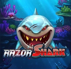 Обзор лучших слотов Razor Shark Байлото kg — лучшие автоматы