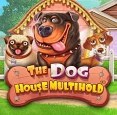 Байлото лучшие слоты Dog house топ игр для выигрышей